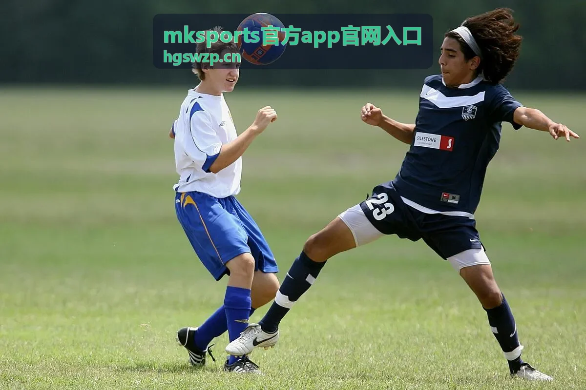 mksports官方app官网入口打不开时排查顺序封面